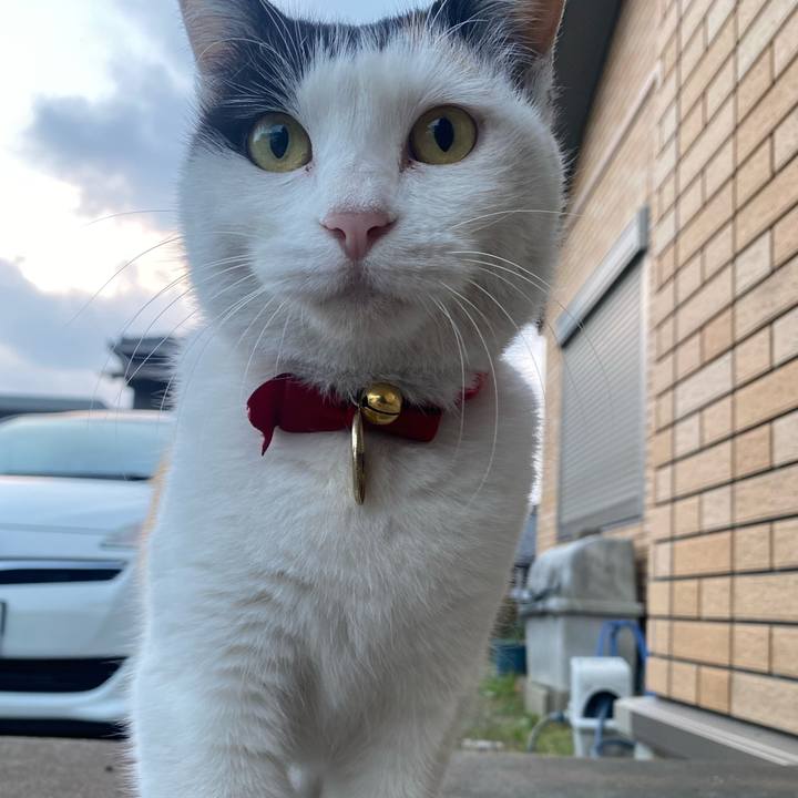 91a0e864 4cc3 464a bdf7 6cfb3be8ba7a 1639263320243