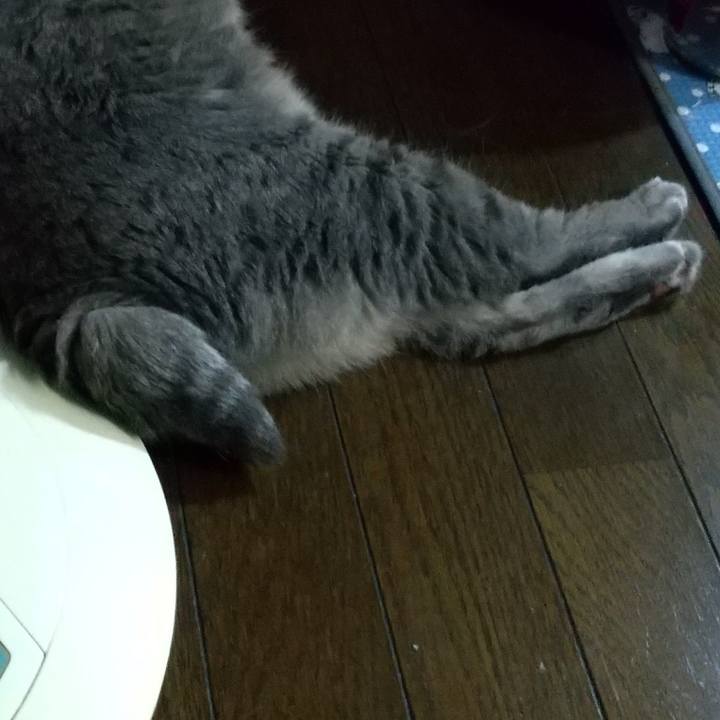 91a0ef3b c9dd 4ab3 be0a 17b5c23614a3 1659006858263