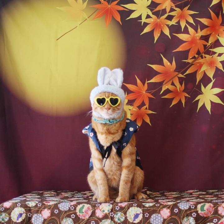 91a0f194 dc9f 4450 96d5 78f48d6fc8d2 1757981368660