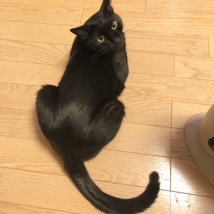 91a11eb1 4999 4190 b5a8 67c052d227d2 1543153131327