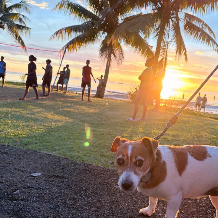 91a12418 82cb 47d7 afa7 ea98500f2c8c 1765357322559