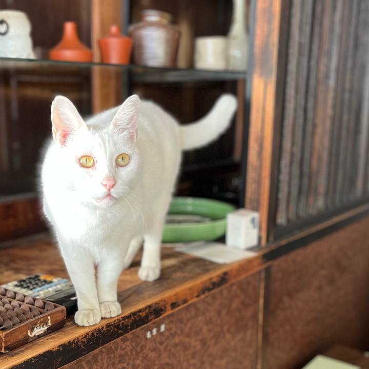 91a14f30 e34c 4efd 8077 89987b42f5be 1763303405176