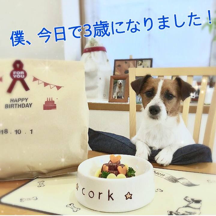 91a17789 ac9f 440f 947d d72d67b41e64 1538397733621