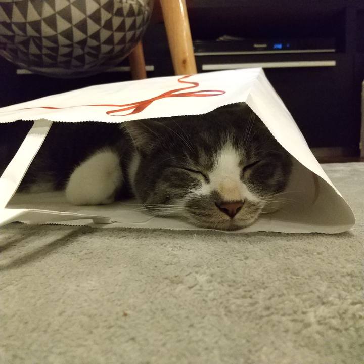 91a1b1af 6631 4015 8bde 89ea97a04265 1603721375137