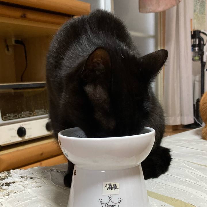 91a1b549 e35a 4cae 8f41 d17e7a10bae3 1775965063494