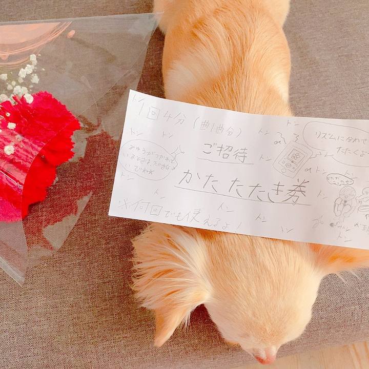 91a1b8b4 6bb8 4921 8ef8 b244c431c052 1620525827622