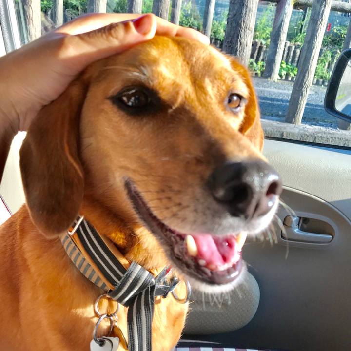 91a1c6a6 ff1b 4f34 88c7 460512ece0ac 1539136555643