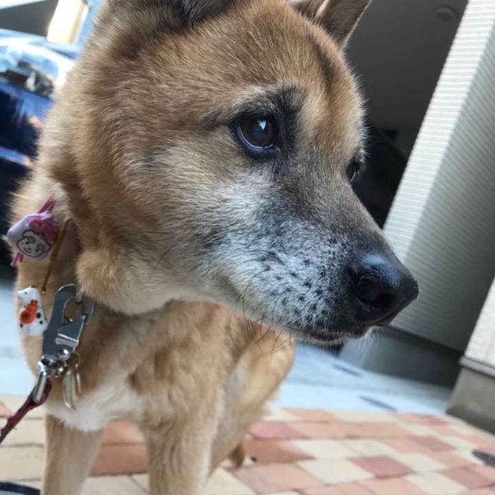 91a2303b 44c6 41f1 ae82 7033185578fa 1519990048781