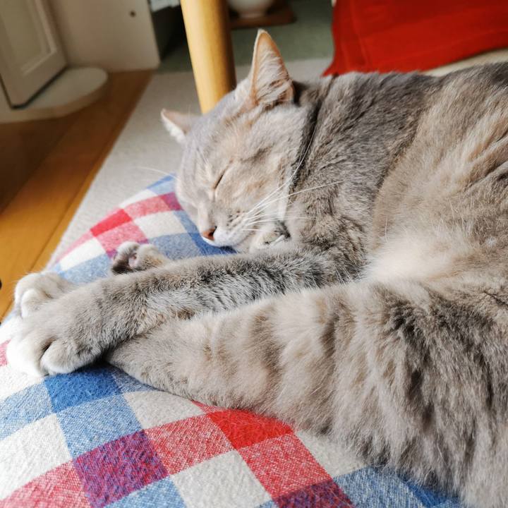 91a23ec1 e646 4cc7 aa1d 22c4c00945d2 1620432494059