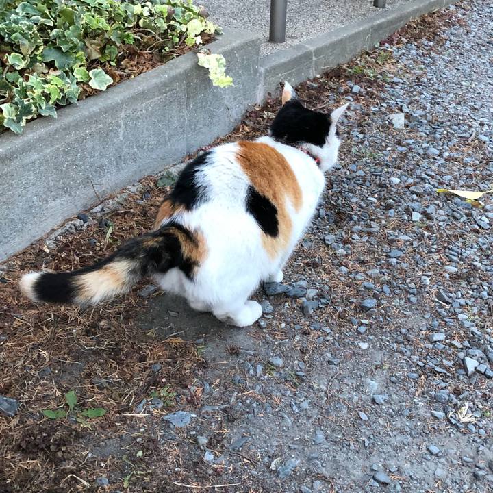 91a244b6 a25b 45eb a5db 6983a8a02545 1607466314933