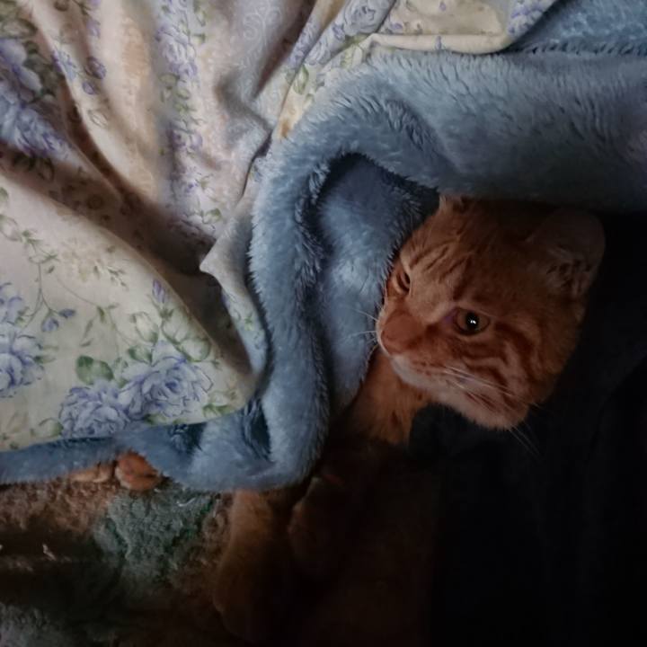 91a24937 02d3 4727 8153 a5077e96fd26 1654808249789