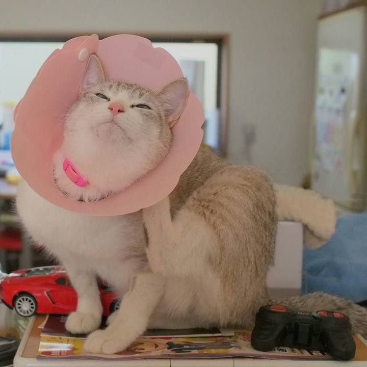 91a28d05 5d8e 4418 8974 79dd9c60d42a 1519098759919