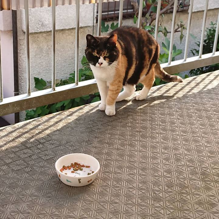 91a2c9d8 ff55 4848 9e56 27687716ee8b 1653514558518