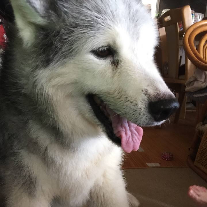 91a2f84e e8a6 4d1b bc08 9ce6bb0a9588 1538083525359