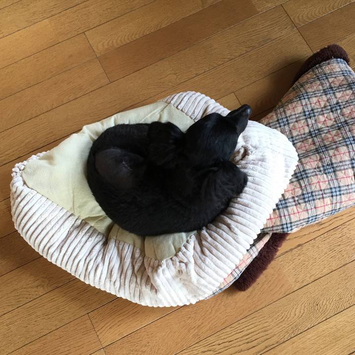 91a30ca6 ced8 4439 90dd ea60bda915cd 1508802747755