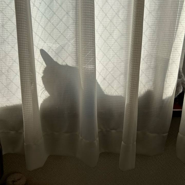 91a35606 9083 4246 979f dcc53e3bc0cd 1706513731286