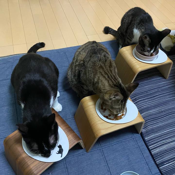 91a35b76 565d 4dcc 9631 85cf4d6e1426 1693685248399