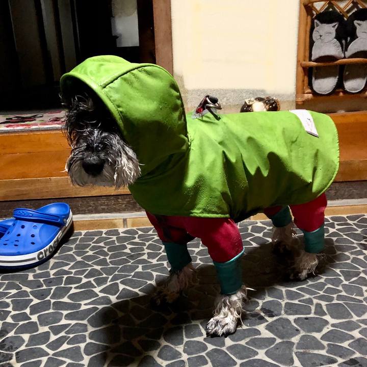 91a367d6 bc71 4e54 8220 8df4ce790318 1702387168214