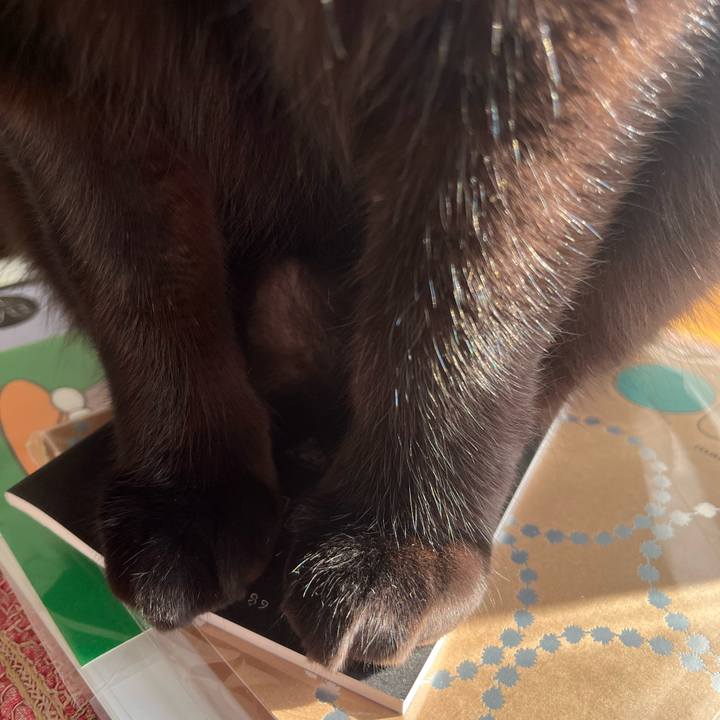 91a384cc 4bb0 44c5 b8b6 a692f5582f8d 1766883130141