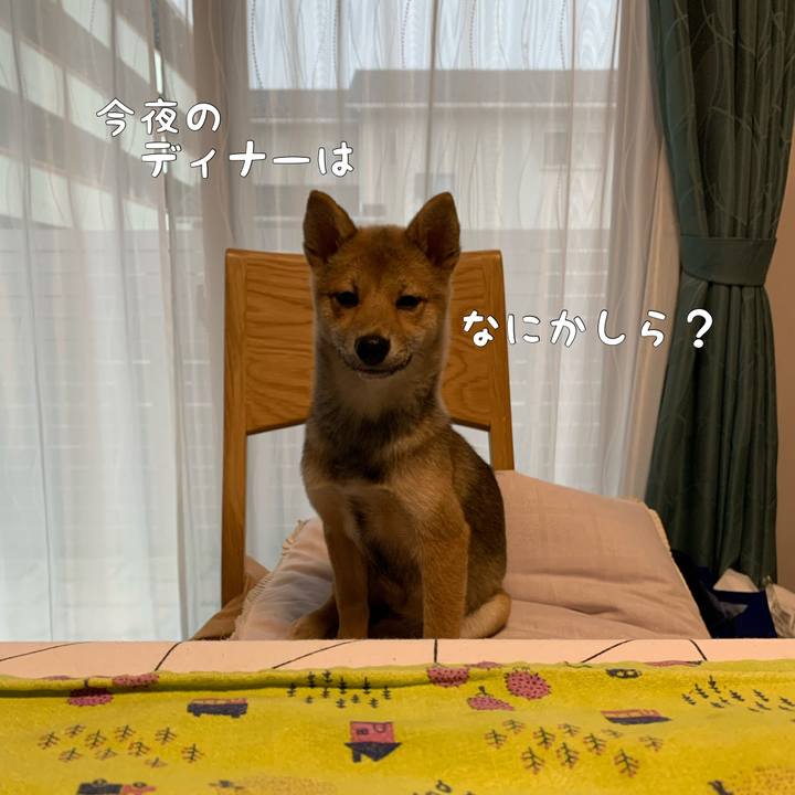 91a387bf 42a9 4132 9a0d b5166b8b74cf 1621594609750