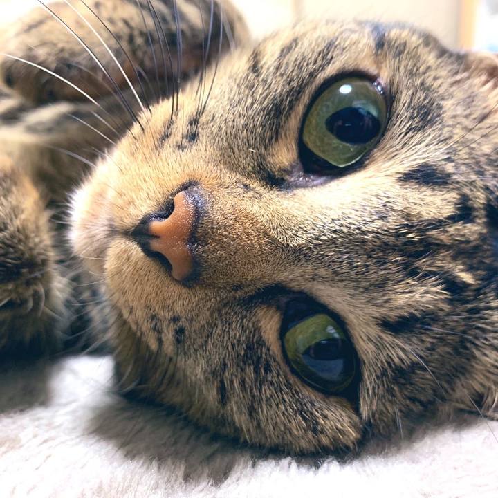 91a3900d b895 452b aae7 821d1f1bdcde 1575291646770