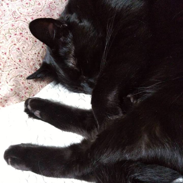 91a3f436 34b0 4084 8703 e291e5d7142e 1656726971890