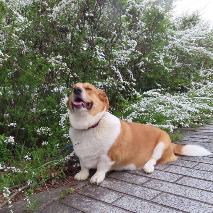 91a47138 81d8 453a a38a 72a28681846f 1648690823609