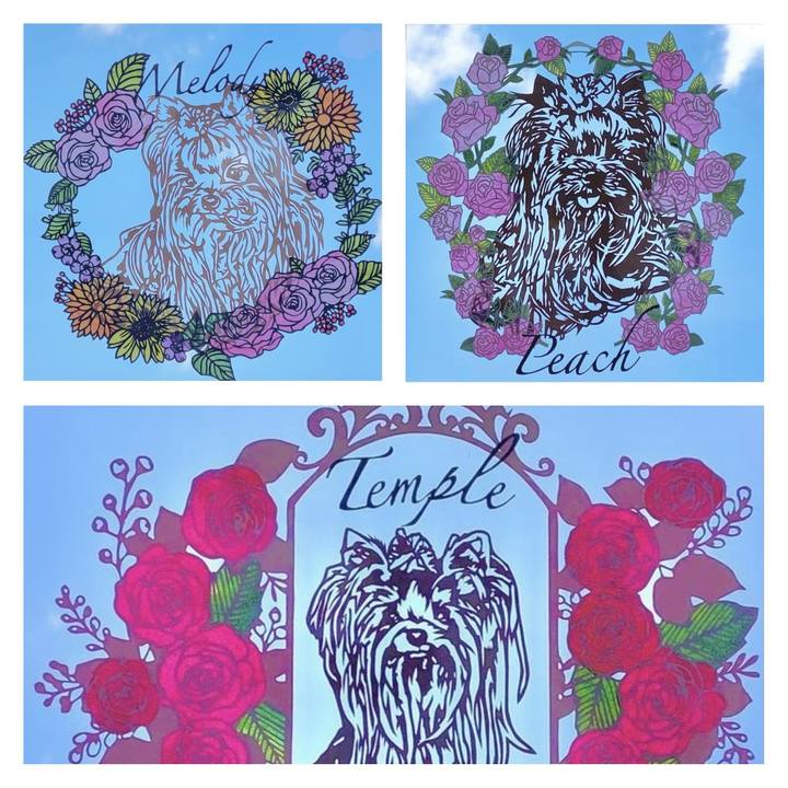 91a4a0e4 6e49 4775 aae1 706f54529a77 1638329132459