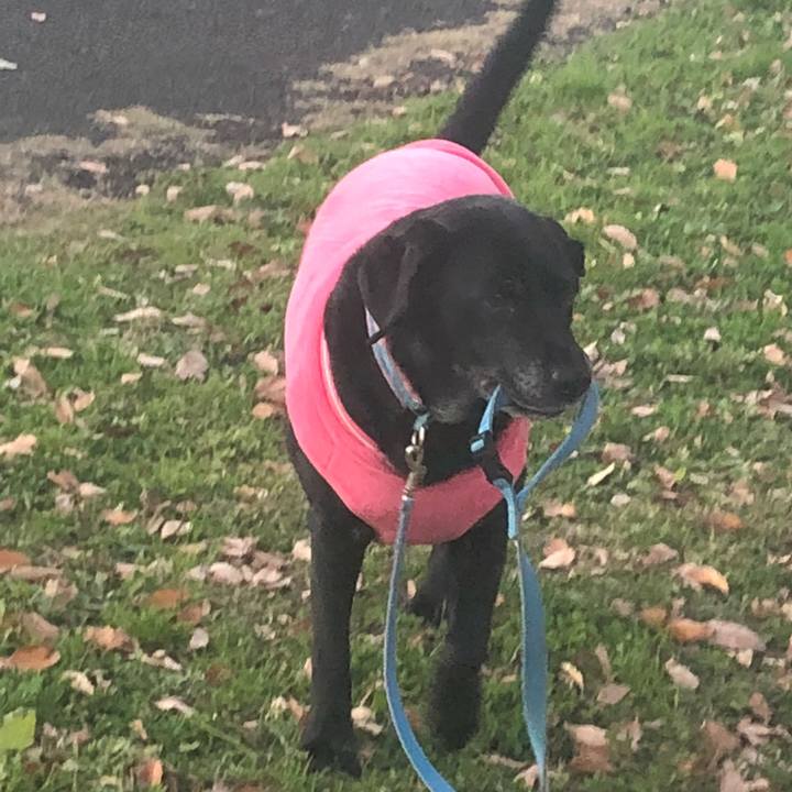 91a4b9c4 e89c 42b1 9872 a7a260c849ca 1545139140352