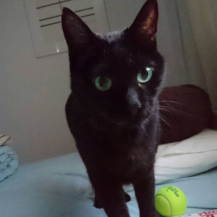 91a52051 1a97 4483 afe7 2ec66a784d93 1508313698487