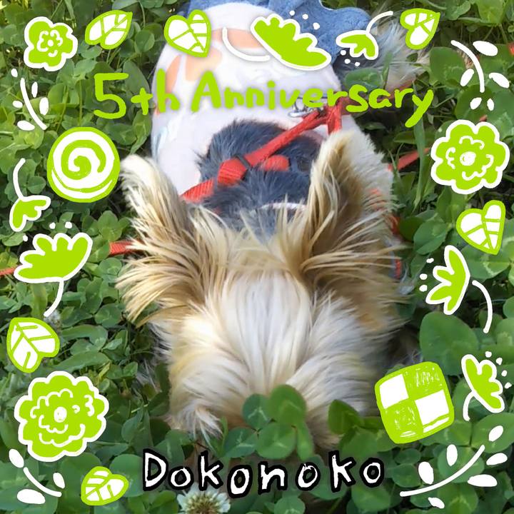 91a56743 43f6 4448 abaa 99f490b7041b 1622887674184