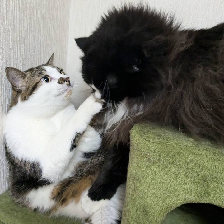 91a57034 a53f 49bd b3fd 274311847e79 1734258017536