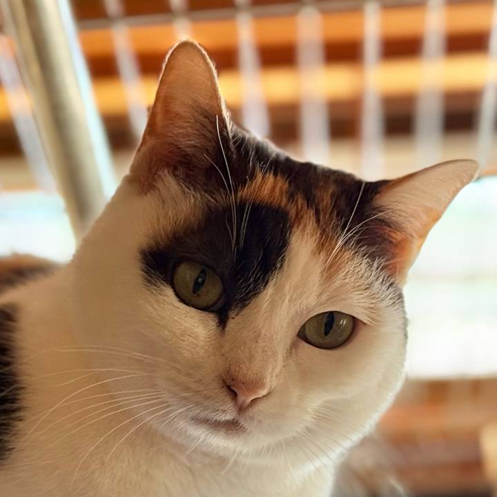 91a5b50d dce1 451a 8013 7dbddf9e39cb 1740449792128