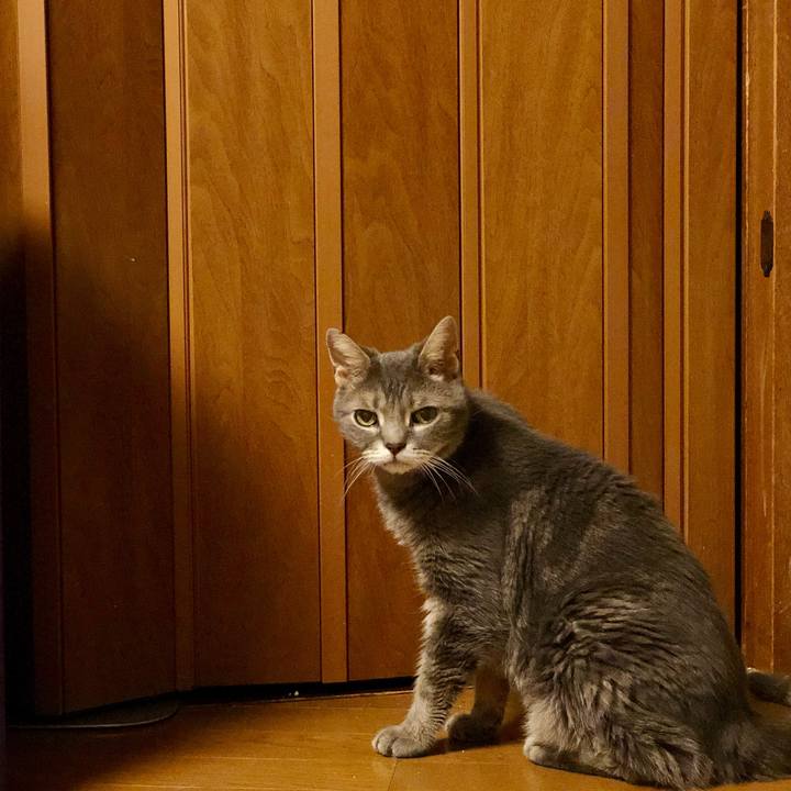 91a5bba8 2e3f 4a30 b45d 97894e4f0295 1566830885442