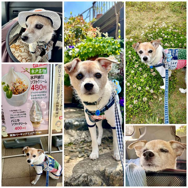 91a5de77 ab4f 4daa 9370 e81f00a134b6 1682754106790