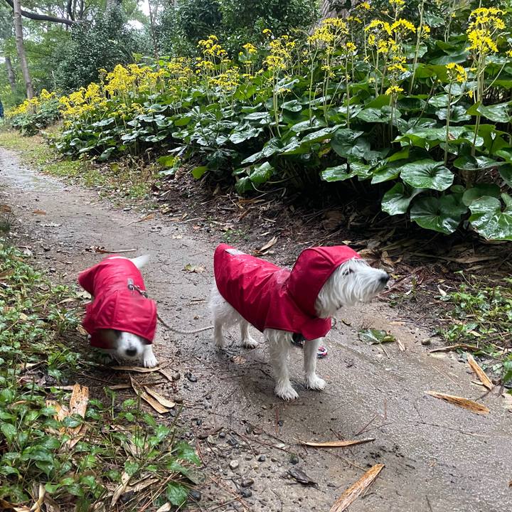 91a61850 bf99 4754 b864 c71b76f08961 1730501012552