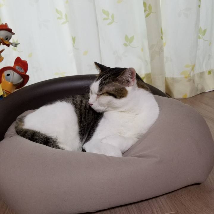 91a627c8 159d 4a8a 87a5 13e467294430 1617572580499