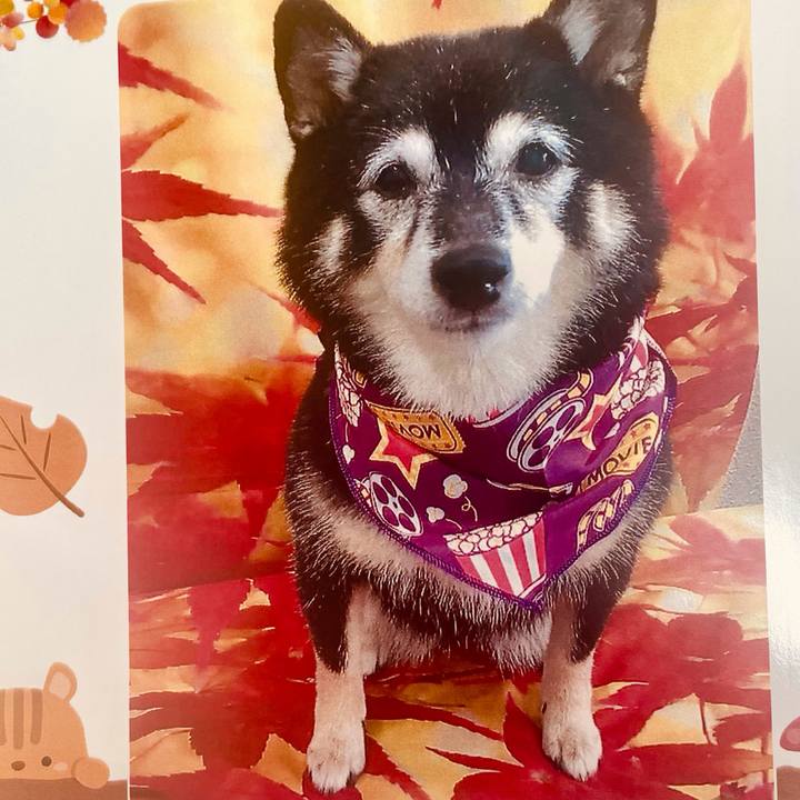 91a635a6 0457 4dcf 8664 2b4899dba735 1759638783880