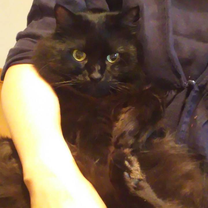 91a65c9c d4df 4409 869a 3e3dfb5184a3 1535112243924