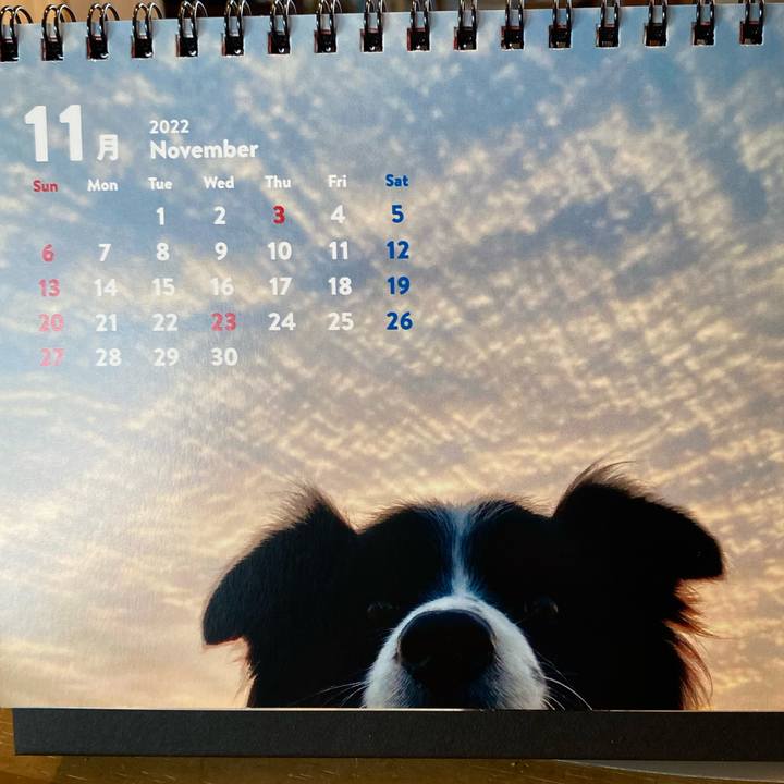 91a66dba d425 4dd8 a6ec e61d99832402 1667252361899