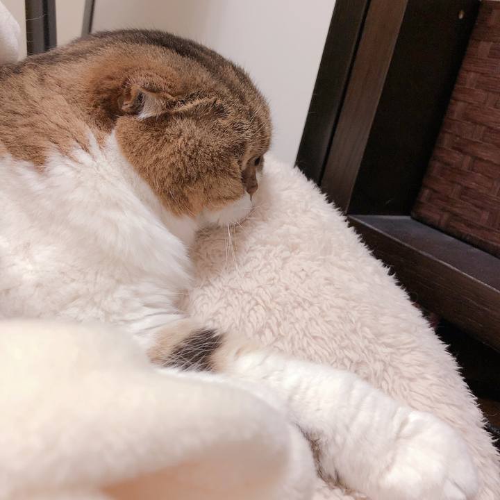 91a677c8 3577 4b27 8fd0 28c476071969 1553182032114