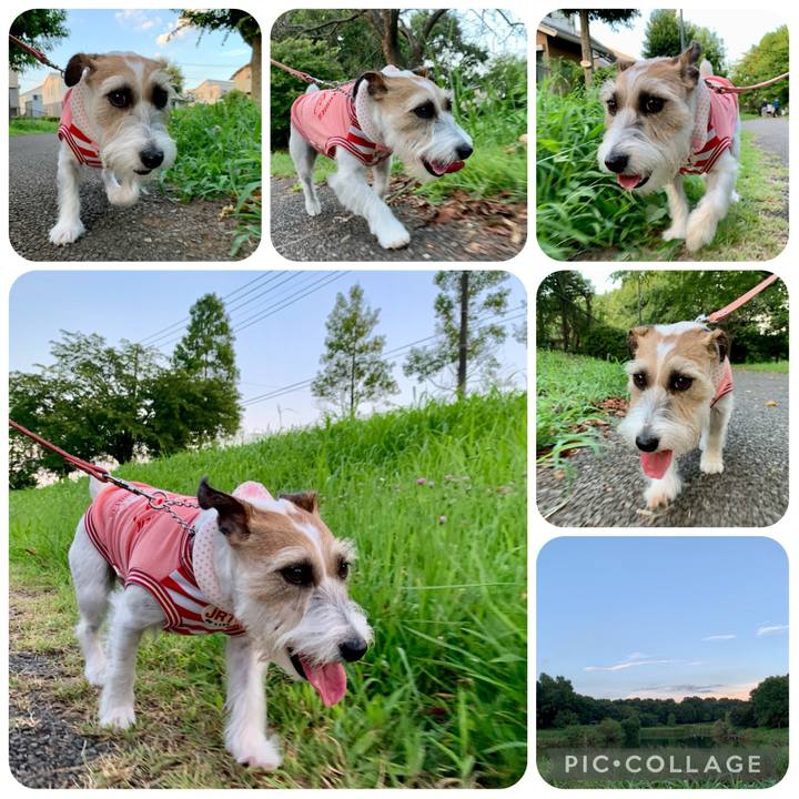 91a68fc0 6c1c 41fc a62d 1d6b7c9e8a92 1659865704292