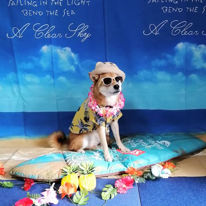 91a69ae5 fc8d 4ea3 b414 524c1eee4815 1597209655495