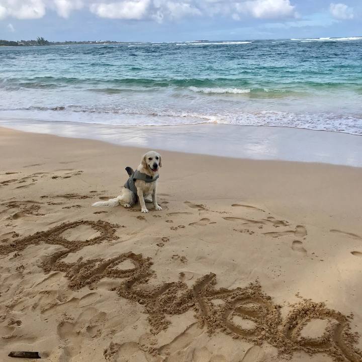 91a711a1 5d14 45e7 be6a 440fcb8dd021 1553446880511