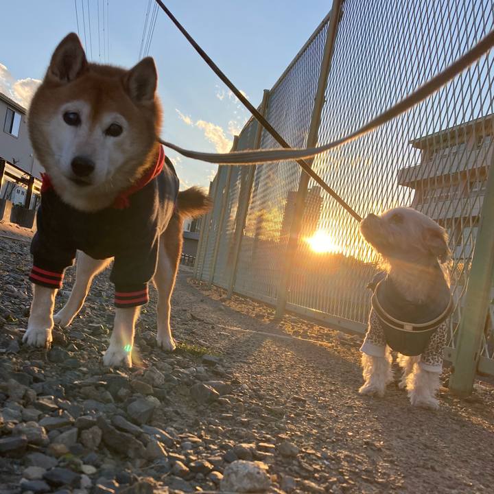 91a71aad 91d0 4c1a ad09 5b8337c6a22a 1736937949333