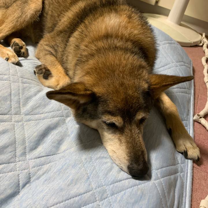 91a723d5 551e 4169 b731 9fa46ef725c6 1568433488838