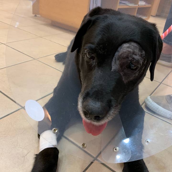 91a76bb0 8a64 4900 8ae7 9ec96830c5ce 1570349244611