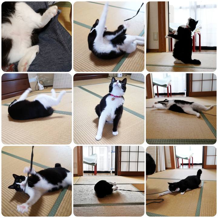 91a78582 ea9a 44a7 bc6a b5d1f629493c 1567858063350