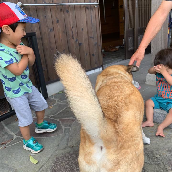 91a79bf5 7c7f 4985 b9aa e7642aee75de 1565580723829