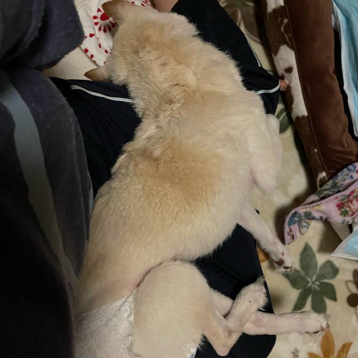 91a7af69 47e1 4483 a15b 756d5f388998 1670089475037